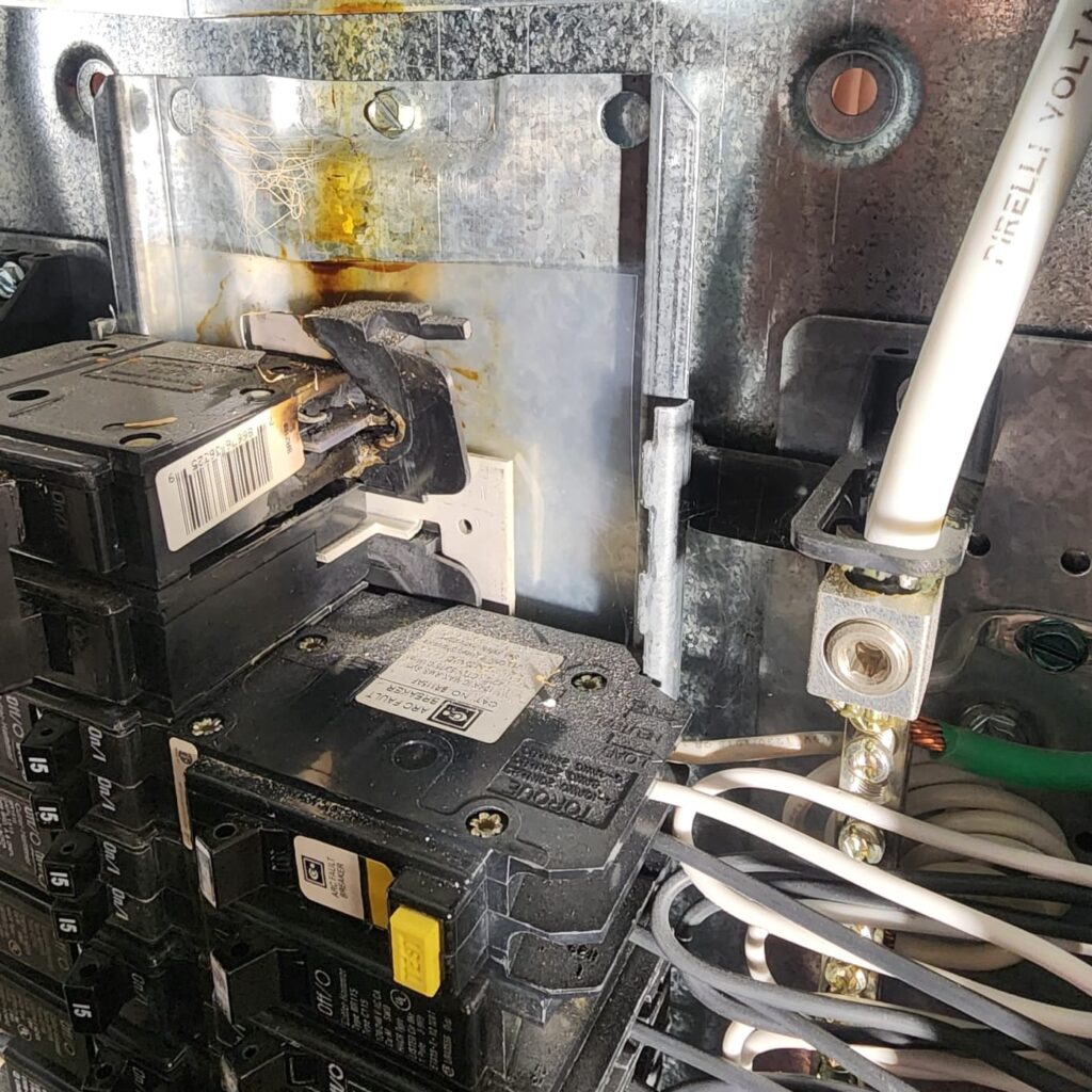 WhatsApp Image 2025-10-22 at 18.05.44 (8)